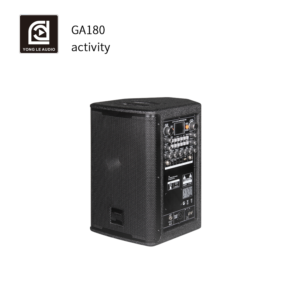 Outdoor Power Amplifier - Modulo Amplificatore Professionale a 2 Vie