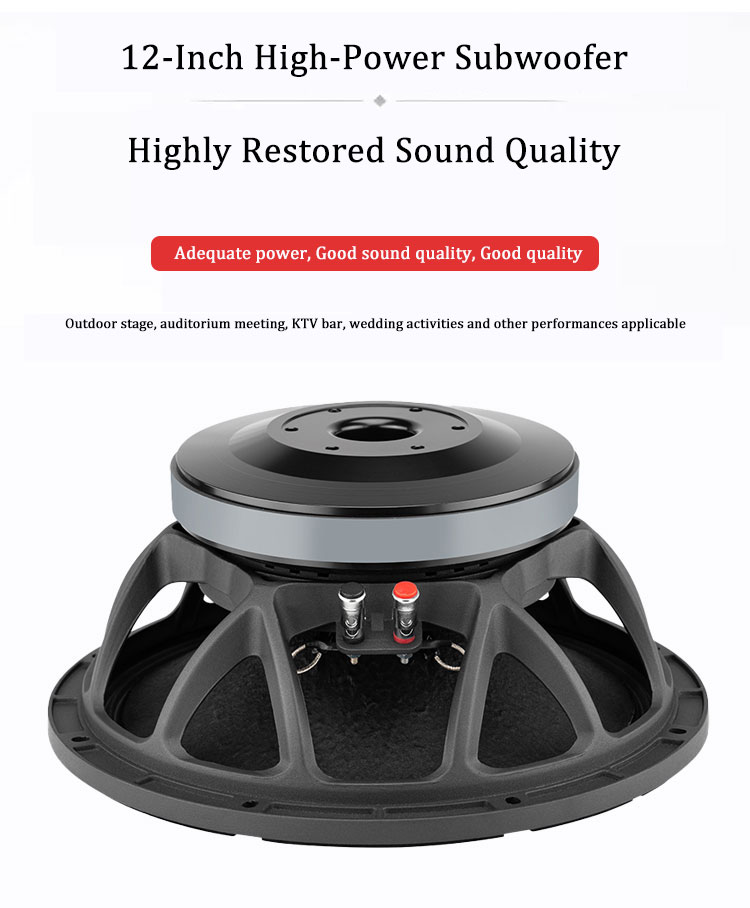 Altoparlanti woofer ad alta po - Quality Outdoor Power recensione e prezzo